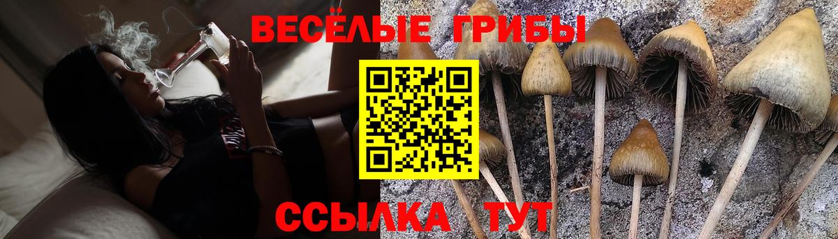 Галлюциногенные грибы GOLDEN TEACHER Протвино